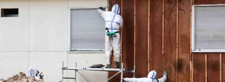 wmremove-transformed (29)